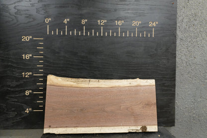 24" Walnut Dimensional Wood Kit (S2S) - Ol Loggin Sawmill