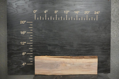 24" Walnut Dimensional Wood Kit (S2S) - Ol Loggin Sawmill