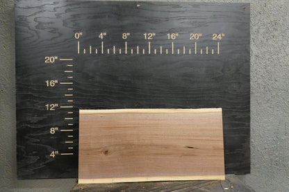 24" Walnut Dimensional Wood Kit (S2S) - Ol Loggin Sawmill