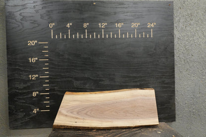 24" Walnut Dimensional Wood Kit (S2S) - Ol Loggin Sawmill