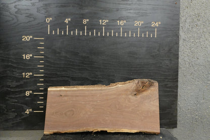 24" Walnut Dimensional Wood Kit (S2S) - Ol Loggin Sawmill