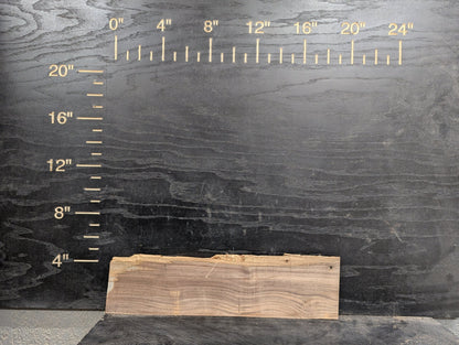 24" Walnut Live Edge Charcuterie Kit - My Store