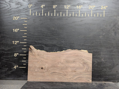 24" Walnut Live Edge Charcuterie Kit - My Store
