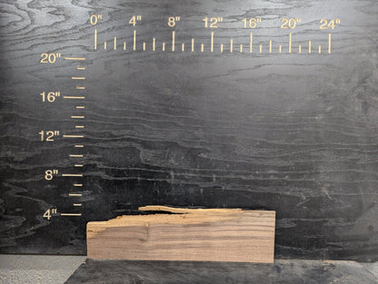 24" Walnut Live Edge Charcuterie Kit - My Store