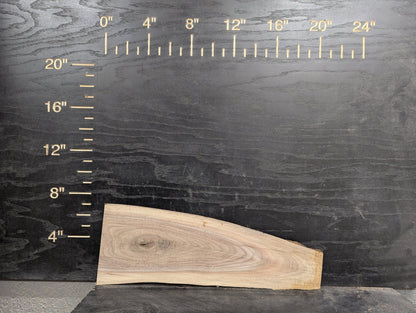 24" Walnut Live Edge Charcuterie Kit - My Store