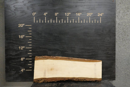 24" Walnut & Maple Dimensional Wood Kit (S2S) - Ol Loggin Sawmill