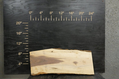 24" Walnut & Maple Dimensional Wood Kit (S2S) - Ol Loggin Sawmill