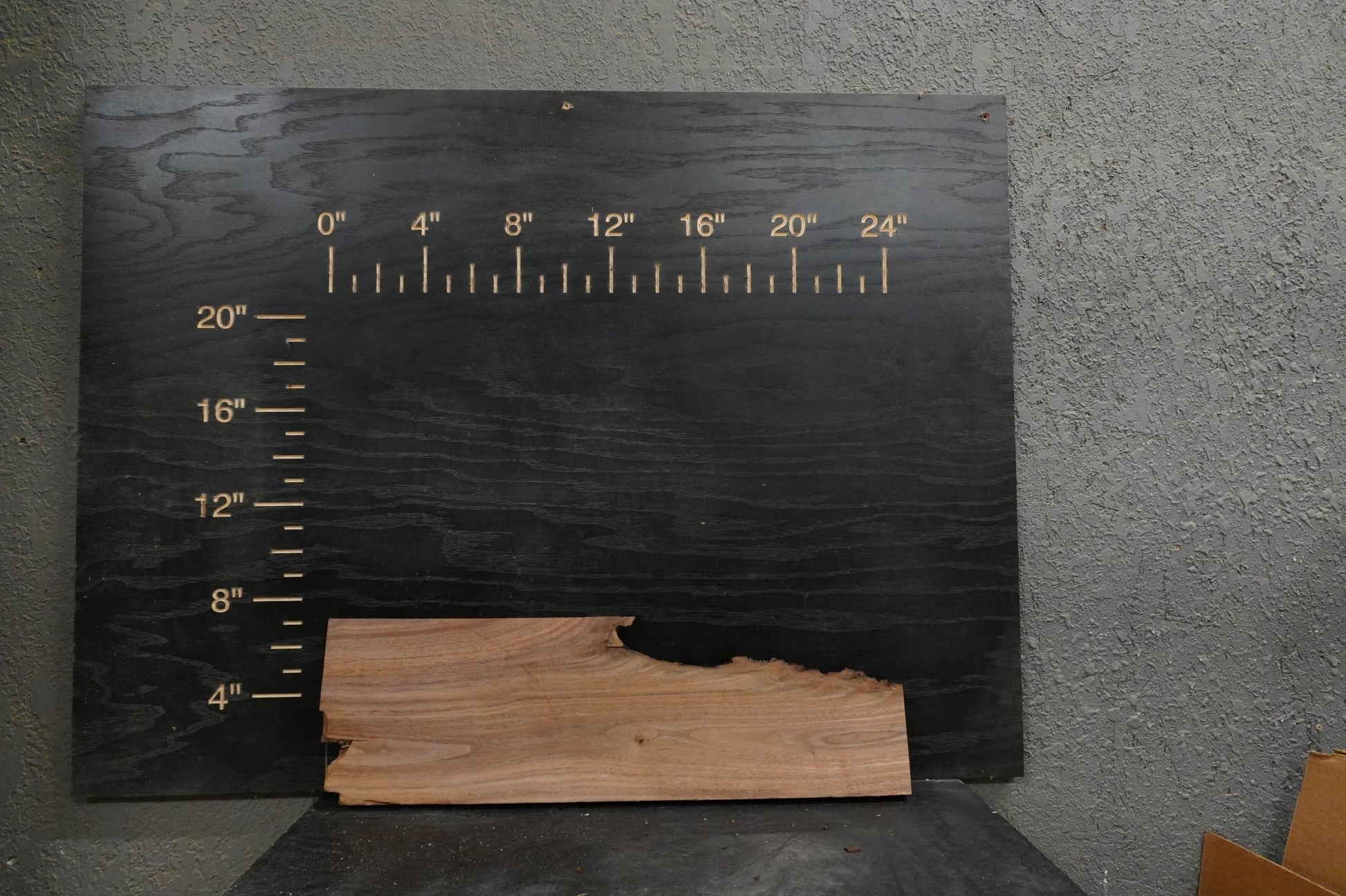 24 - " Walnut & Maple Wood Kit Live - Edge - Ol Loggin Sawmill