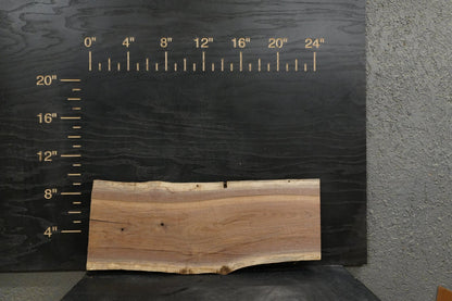 24 - " Walnut Wood Kit Live - Edge - Ol Loggin Sawmill