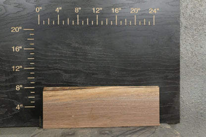 24 - " Walnut Wood Kit Live - Edge - Ol Loggin Sawmill