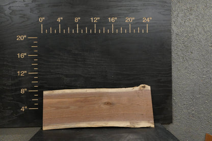 24 - " Walnut Wood Kit Live - Edge - Ol Loggin Sawmill