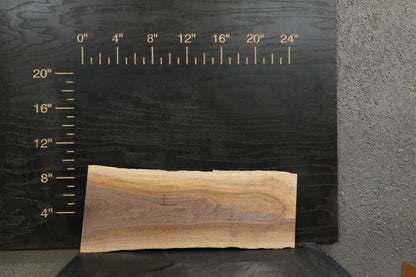 24 - " Walnut Wood Kit Live - Edge - Ol Loggin Sawmill