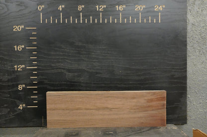 24 - " Walnut Wood Kit Live - Edge - Ol Loggin Sawmill