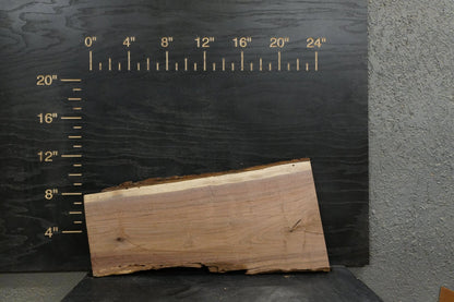 24 - " Walnut Wood Kit Live - Edge - Ol Loggin Sawmill