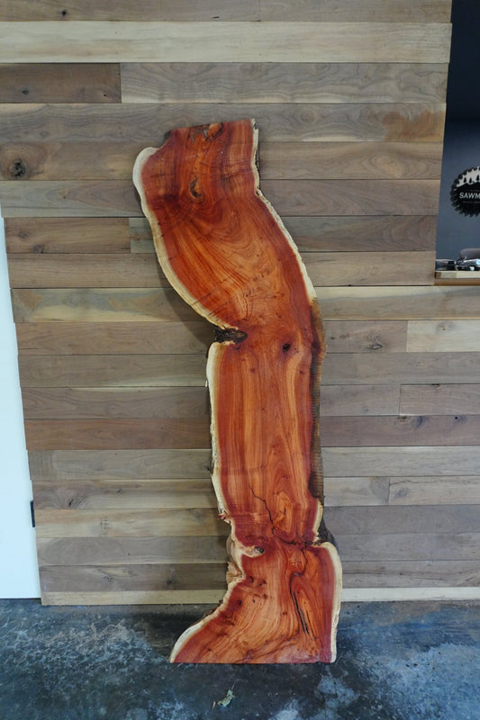 Carob Live Edge Slab - Ol Loggin Sawmill