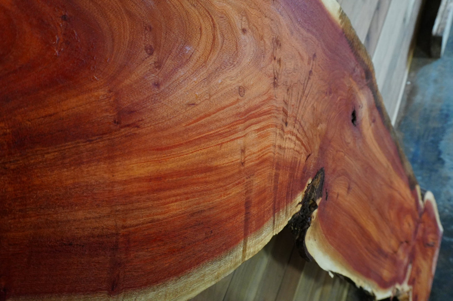 Carob Live Edge Slab - Ol Loggin Sawmill