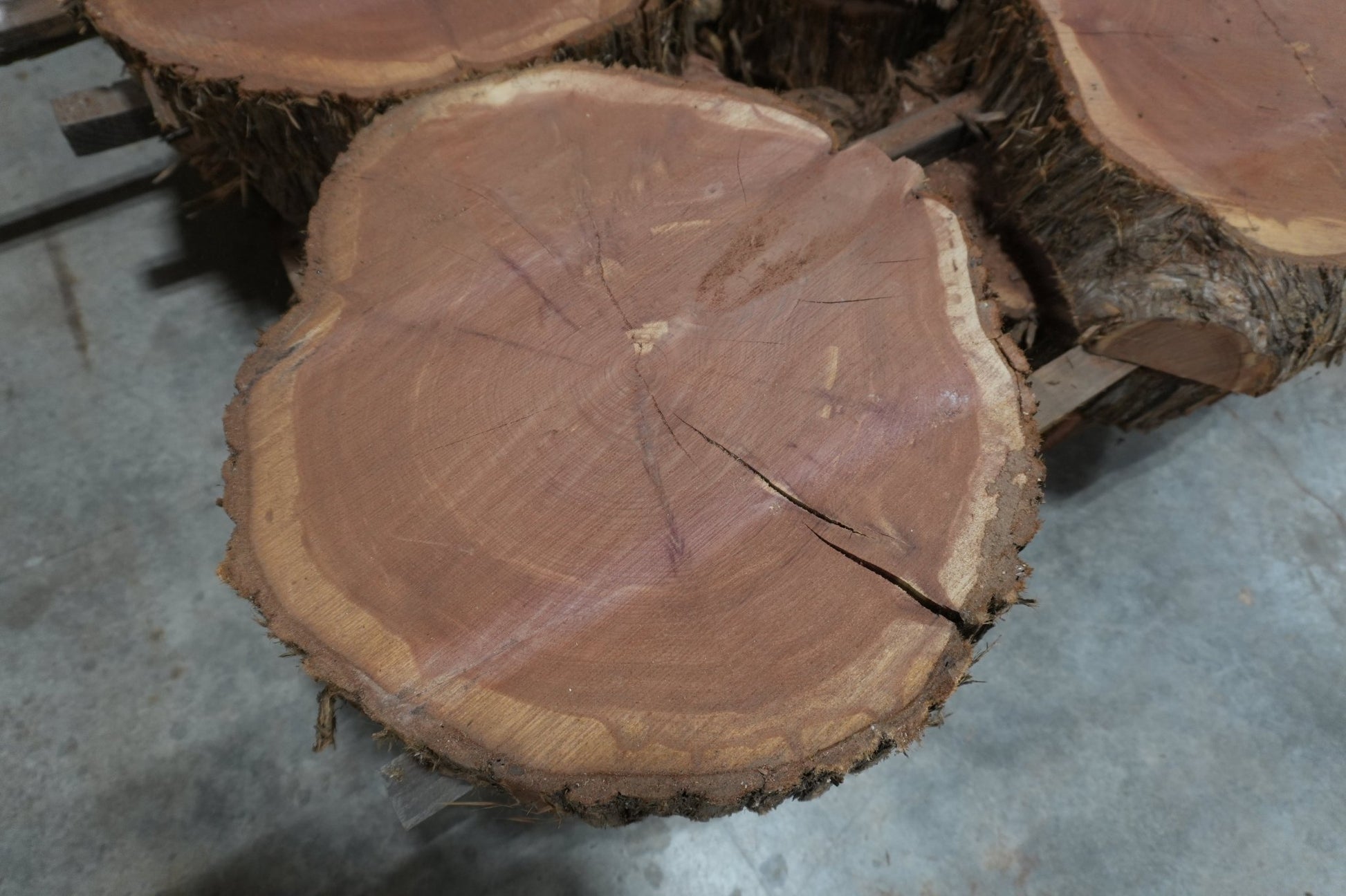 Cedar Cookies - Ol Loggin Sawmill