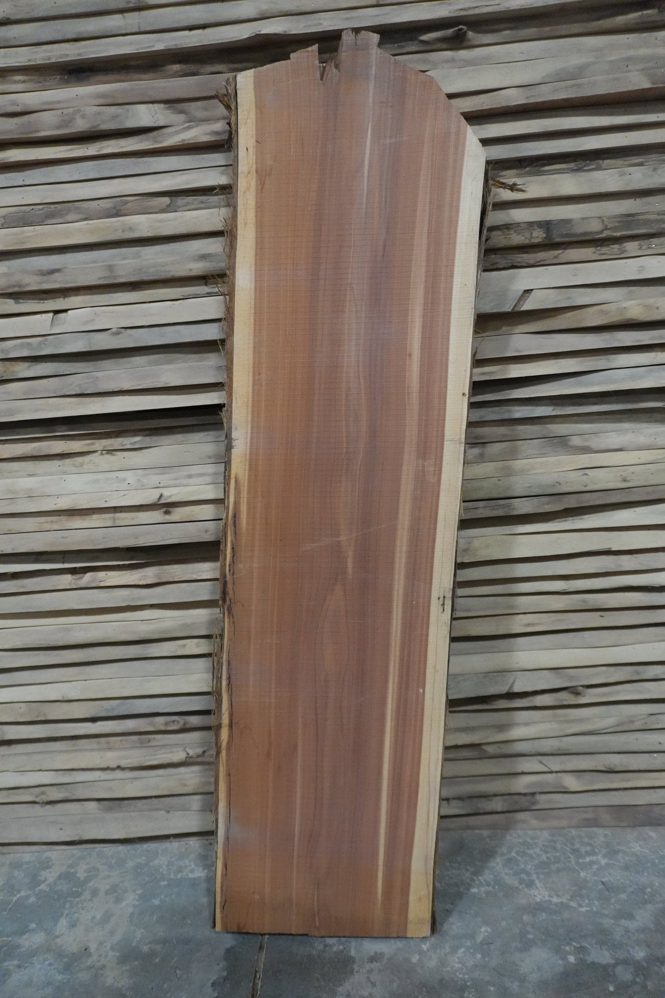 Cedar Slab 7BF - Ol Loggin Sawmill