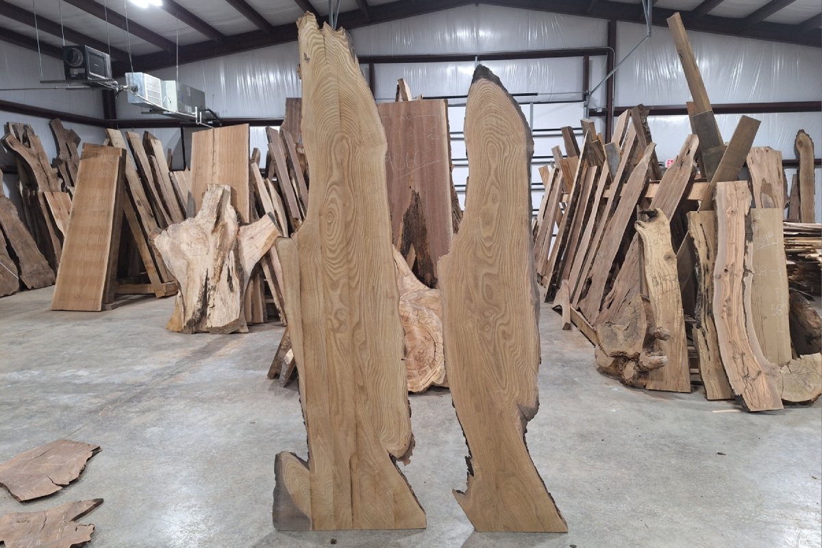 Elm Live Edge Wood Slab Set - 1.25" Thick! - My Store