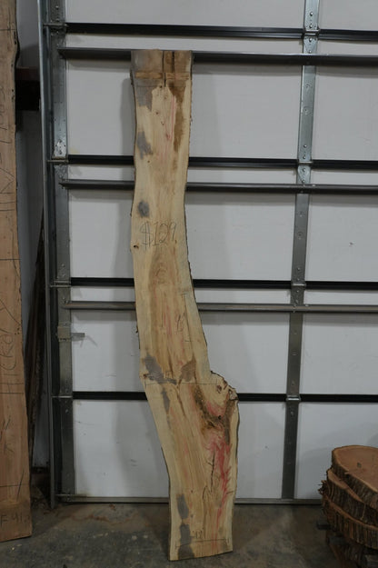 Flaming Box Elder - Ol Loggin Sawmill