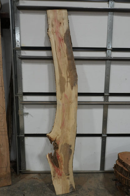 Flaming Box Elder - Ol Loggin Sawmill