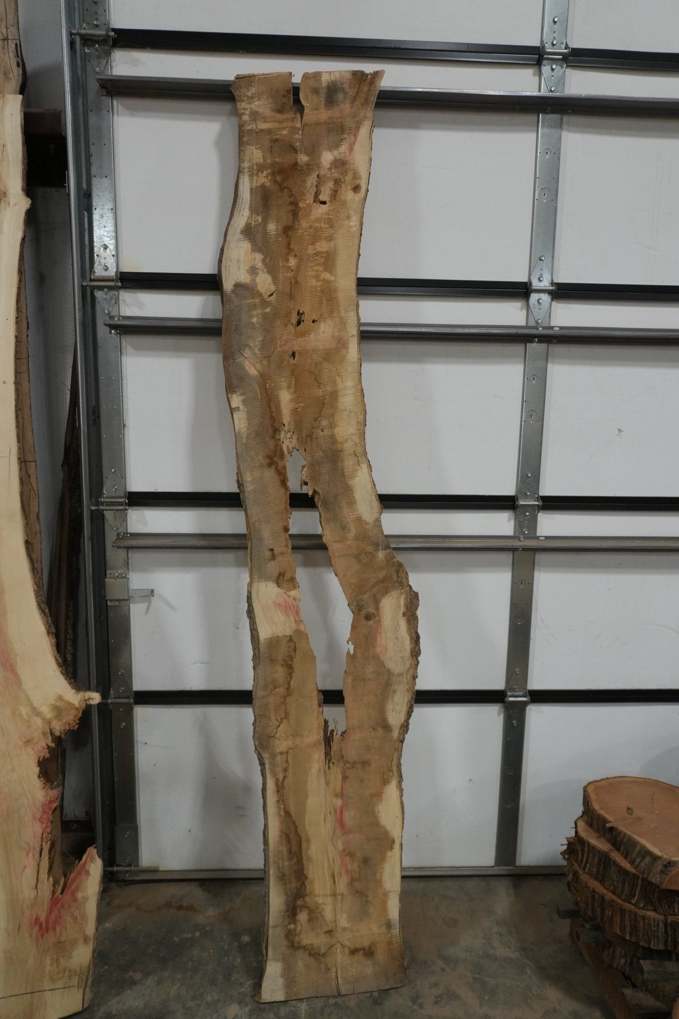 Flaming Box Elder - Ol Loggin Sawmill