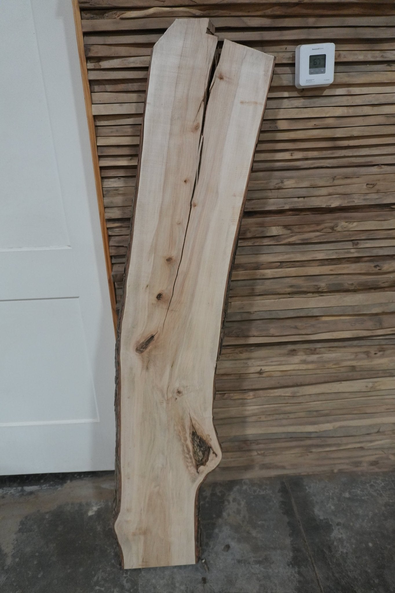 Maple Slab - Ol Loggin Sawmill