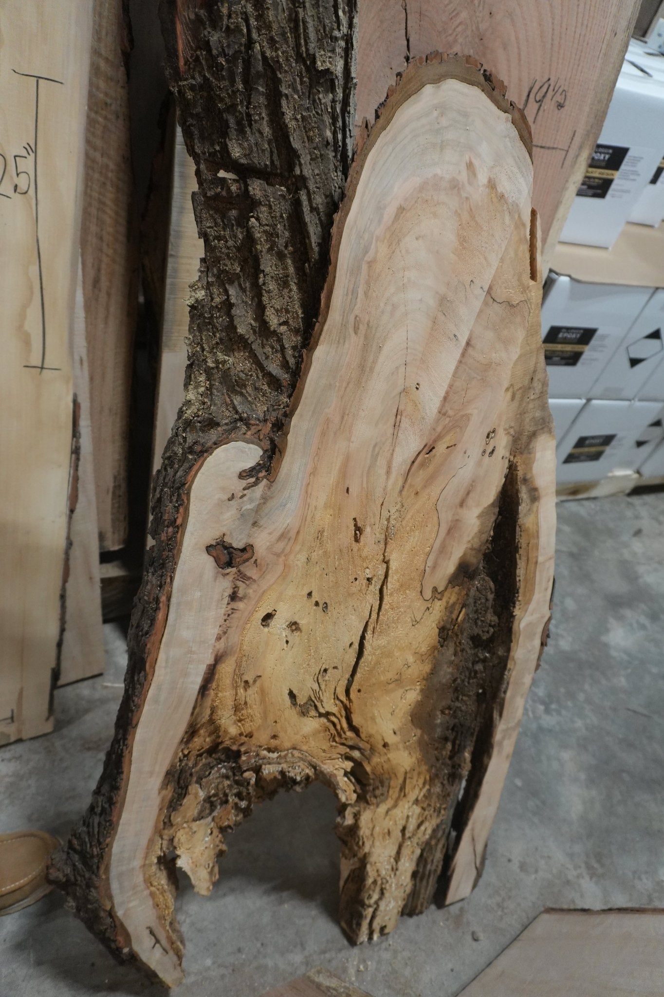 Maple Slab - Ol Loggin Sawmill
