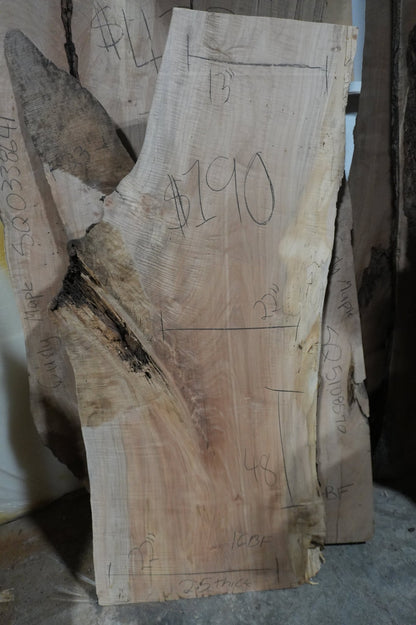 Maple Slab - Ol Loggin Sawmill