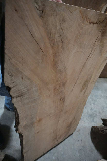 Maple Slab - Ol Loggin Sawmill