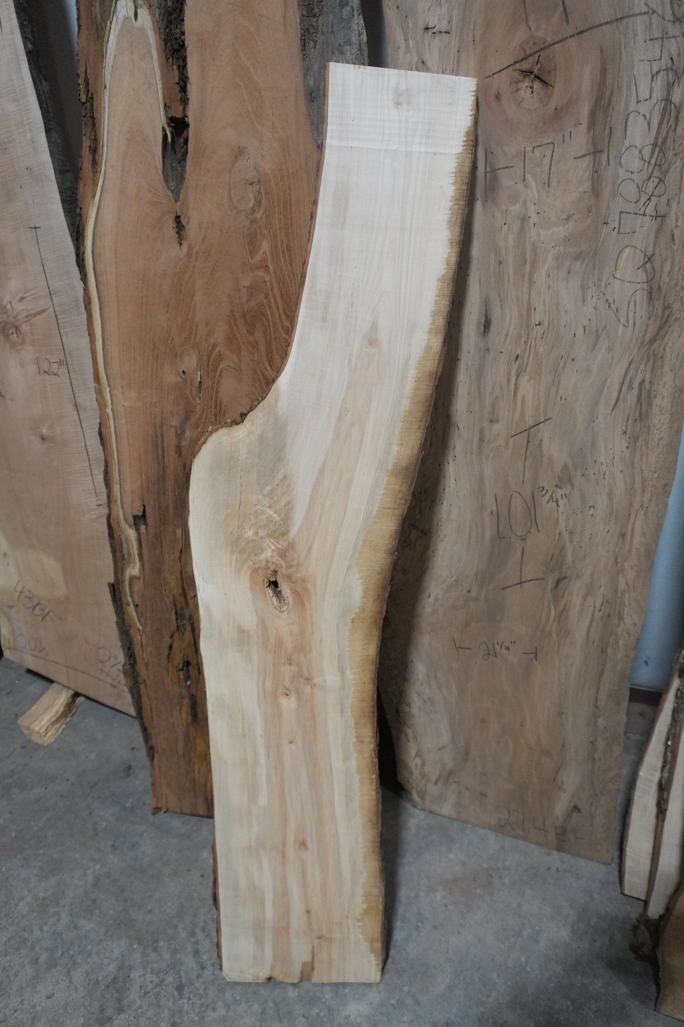 Maple Slab - Ol Loggin Sawmill