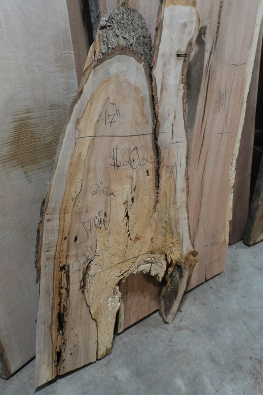 Maple Slab - Ol Loggin Sawmill