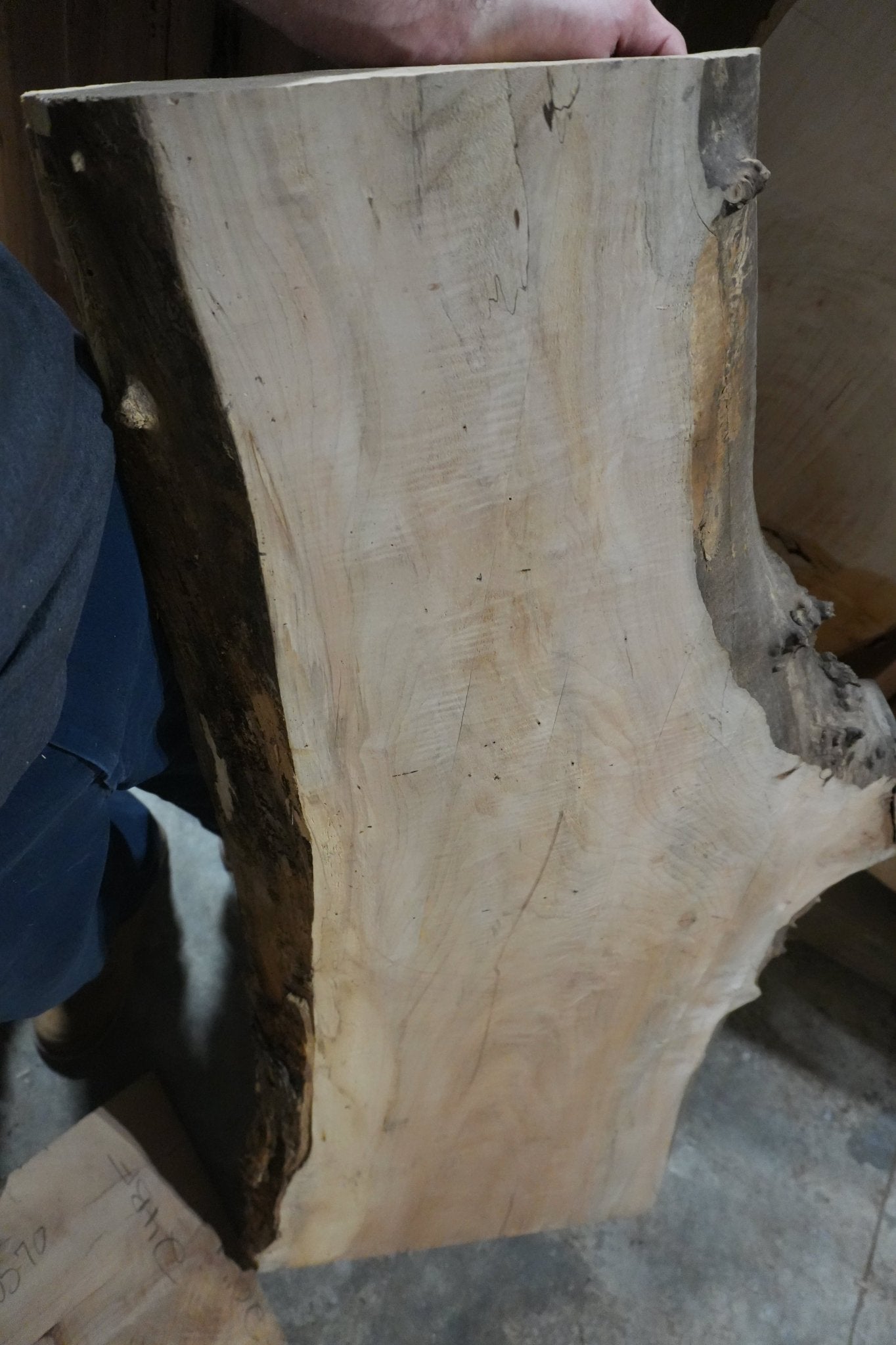 Maple Slab - Ol Loggin Sawmill