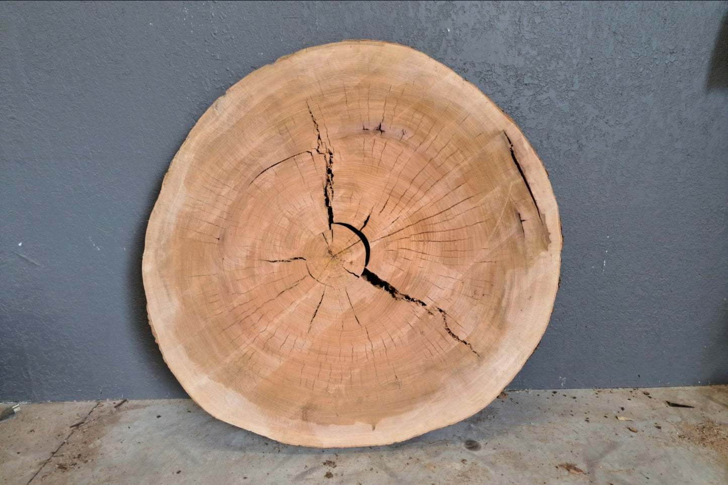 Pecan Wood Slab Cookie - 40.3 BF - My Store