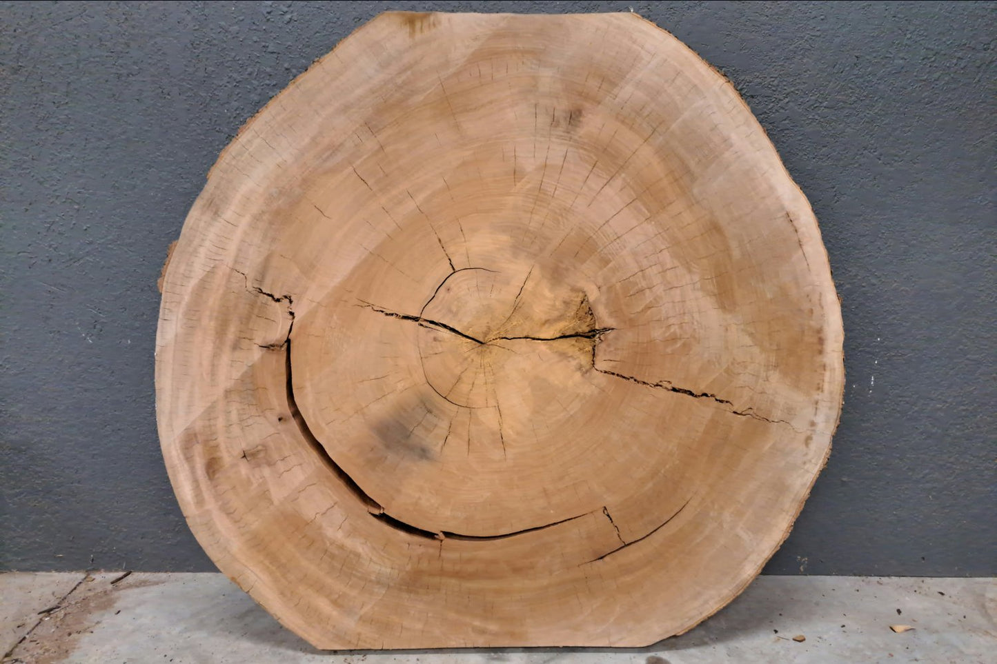 Pecan Wood Slab Cookie - 43.2 BF - My Store