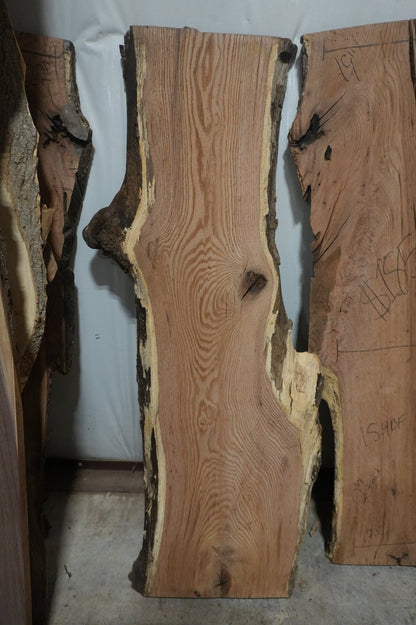 Red Oak Slab - Ol Loggin Sawmill