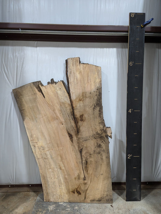 Spalted Maple Live Edge Wood Slab - 53 BF - Ol Loggin Sawmill