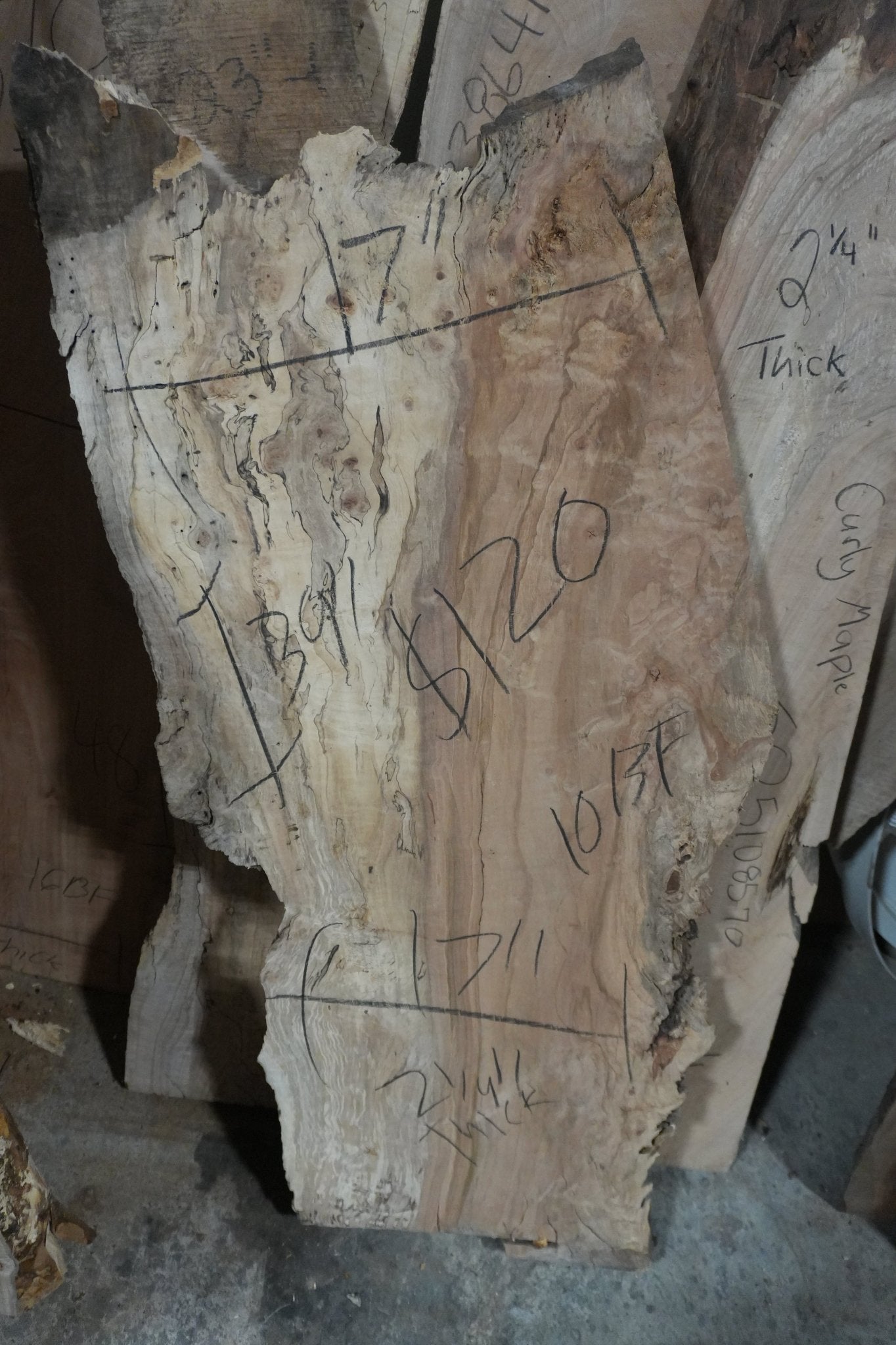 Spalted Maple Slab - Ol Loggin Sawmill