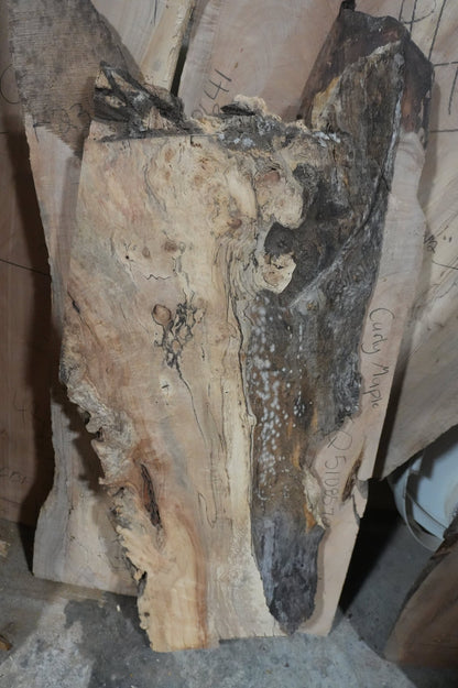 Spalted Maple Slab - Ol Loggin Sawmill