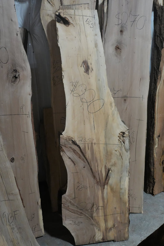 Sweetgum Slab - Ol Loggin Sawmill