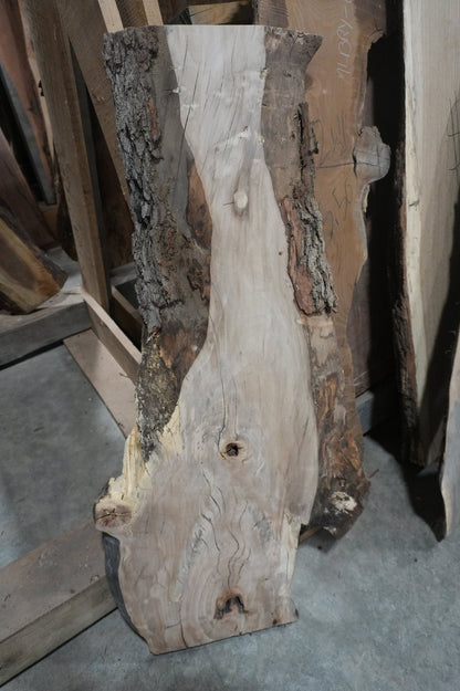 Sweetgum Slab - Ol Loggin Sawmill