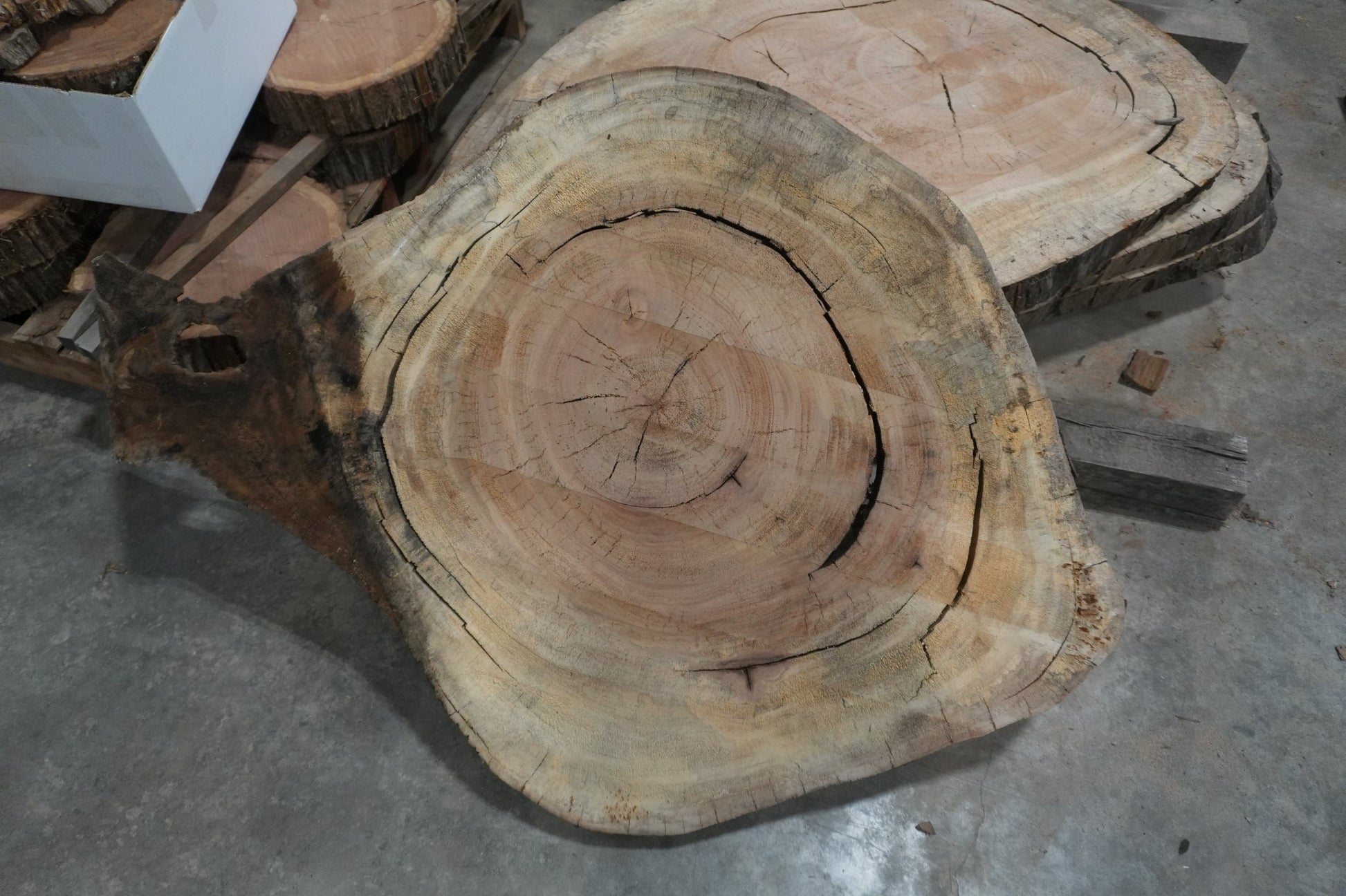 Sycamore Cookie - Ol Loggin Sawmill