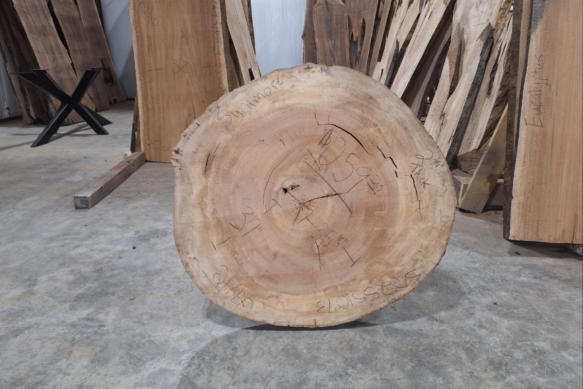 Sycamore Wood Slab Cookie - 21.6 BF - My Store
