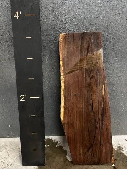 Walnut Live Edge Wood Slab - 10BF - Ol Loggin Sawmill