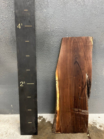 Walnut Live Edge Wood Slab - 10BF - Ol Loggin Sawmill