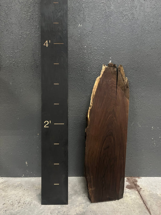 Walnut Live Edge Wood Slab - 11BF - Ol Loggin Sawmill