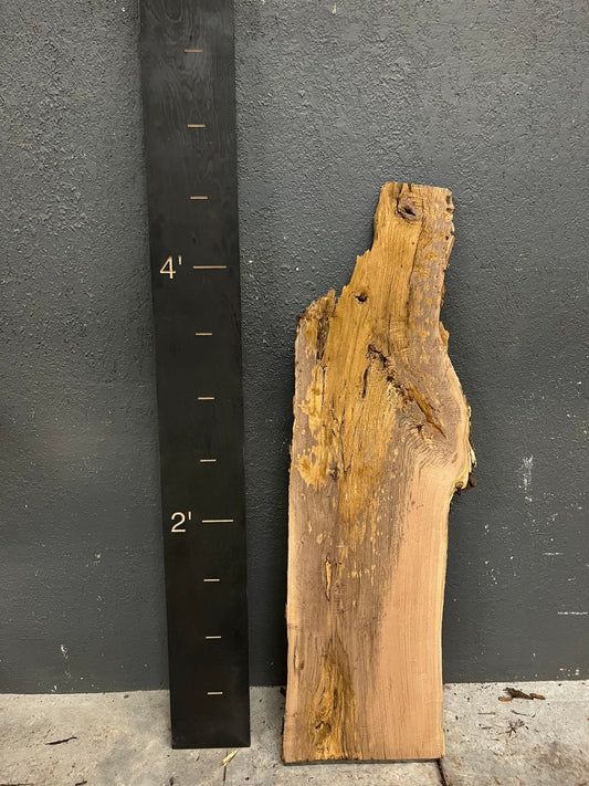 Walnut Live Edge Wood Slab 11BF - Ol Loggin Sawmill