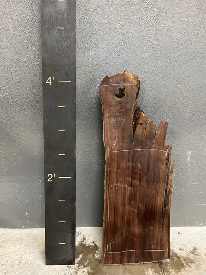 Walnut Live Edge Wood Slab - 12BF - Ol Loggin Sawmill