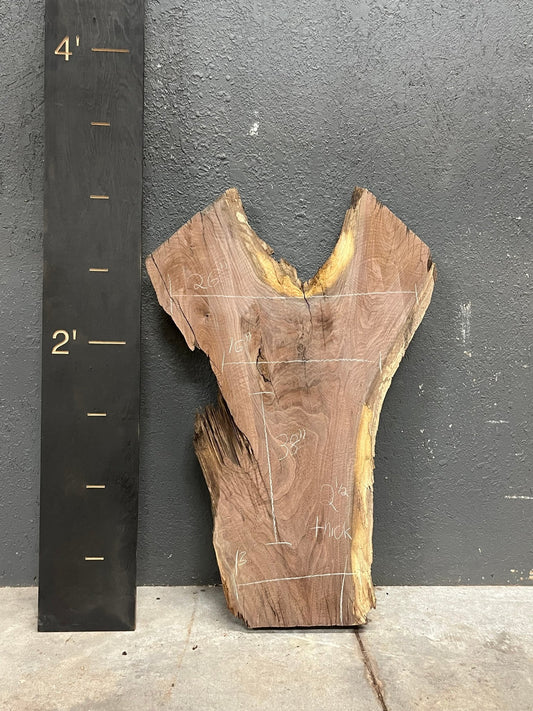 Walnut Live Edge Wood Slab 12BF - Ol Loggin Sawmill