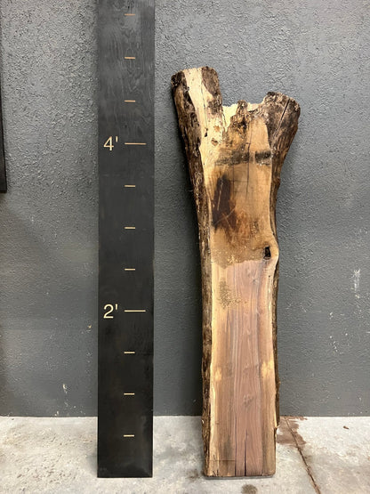 Walnut Live Edge Wood Slab - 12BF - Ol Loggin Sawmill